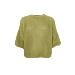 Black Colour Bjoerk s/s jumper dk.lime - 1260