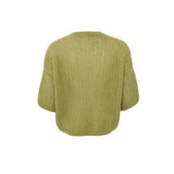 Black Colour Bjoerk s/s jumper dk.lime - 1260